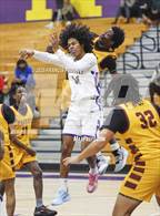 Photo from the gallery "Middleton @ Lennard"