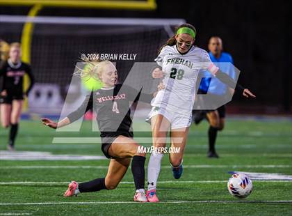 Thumbnail 1 in Wellesley vs Bishop Feehan (MIAA Division 1 Final) photogallery.