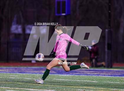 Thumbnail 3 in Wellesley vs Bishop Feehan (MIAA Division 1 Final) photogallery.
