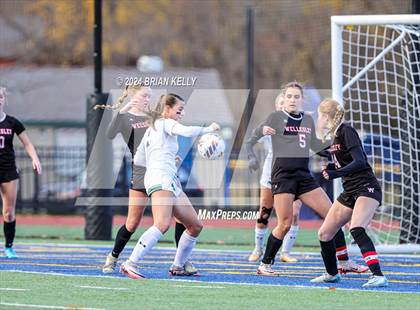 Thumbnail 2 in Wellesley vs Bishop Feehan (MIAA Division 1 Final) photogallery.