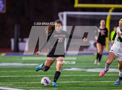 Thumbnail 3 in Wellesley vs Bishop Feehan (MIAA Division 1 Final) photogallery.