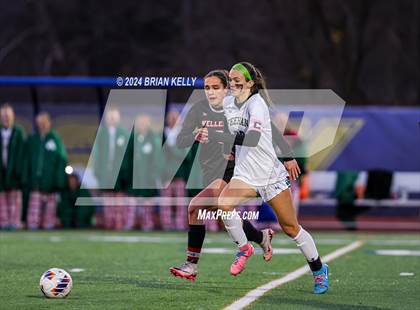 Thumbnail 3 in Wellesley vs Bishop Feehan (MIAA Division 1 Final) photogallery.