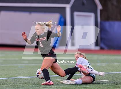 Thumbnail 1 in Wellesley vs Bishop Feehan (MIAA Division 1 Final) photogallery.