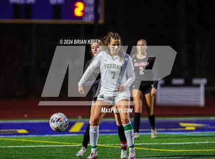 Thumbnail 1 in Wellesley vs Bishop Feehan (MIAA Division 1 Final) photogallery.