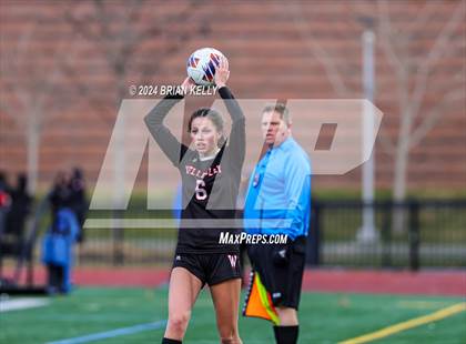 Thumbnail 1 in Wellesley vs Bishop Feehan (MIAA Division 1 Final) photogallery.