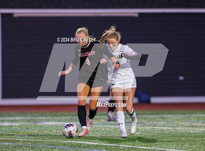 Thumbnail 1 in Wellesley vs Bishop Feehan (MIAA Division 1 Final) photogallery.