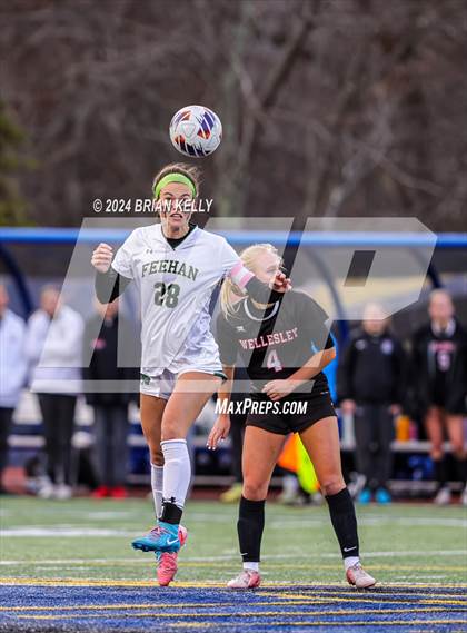 Thumbnail 2 in Wellesley vs Bishop Feehan (MIAA Division 1 Final) photogallery.