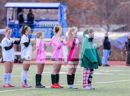 Thumbnail 1 in Wellesley vs Bishop Feehan (MIAA Division 1 Final) photogallery.