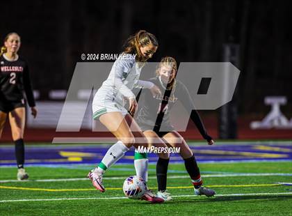 Thumbnail 3 in Wellesley vs Bishop Feehan (MIAA Division 1 Final) photogallery.