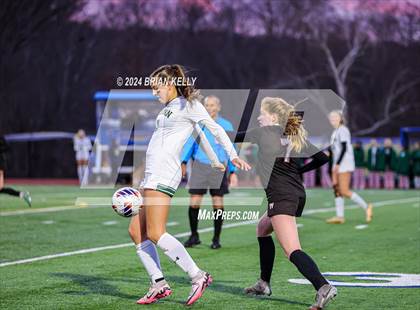 Thumbnail 1 in Wellesley vs Bishop Feehan (MIAA Division 1 Final) photogallery.