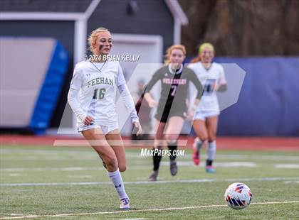 Thumbnail 1 in Wellesley vs Bishop Feehan (MIAA Division 1 Final) photogallery.
