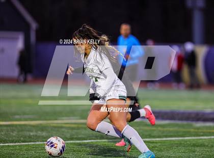 Thumbnail 1 in Wellesley vs Bishop Feehan (MIAA Division 1 Final) photogallery.