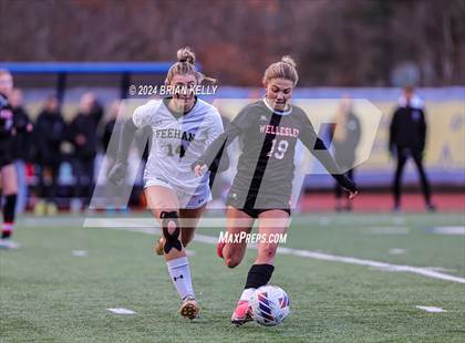 Thumbnail 1 in Wellesley vs Bishop Feehan (MIAA Division 1 Final) photogallery.