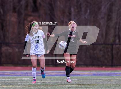 Thumbnail 3 in Wellesley vs Bishop Feehan (MIAA Division 1 Final) photogallery.