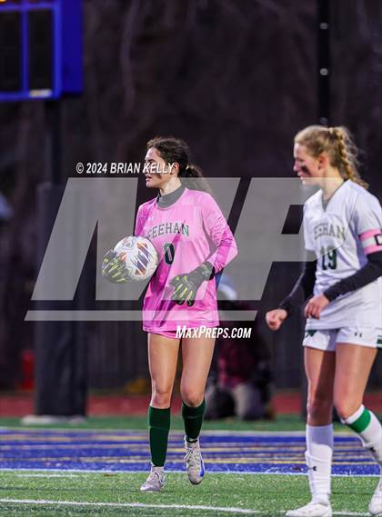 Thumbnail 2 in Wellesley vs Bishop Feehan (MIAA Division 1 Final) photogallery.