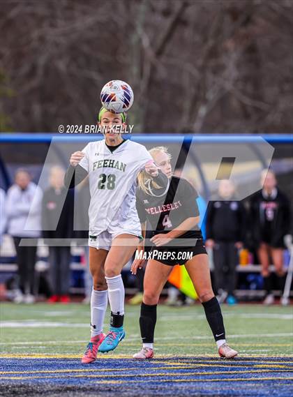 Thumbnail 1 in Wellesley vs Bishop Feehan (MIAA Division 1 Final) photogallery.