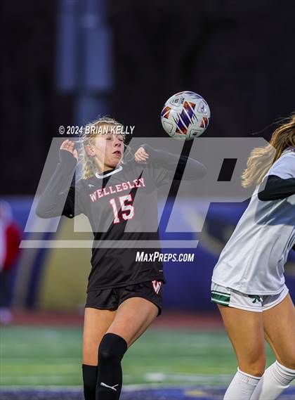 Thumbnail 1 in Wellesley vs Bishop Feehan (MIAA Division 1 Final) photogallery.