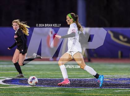 Thumbnail 2 in Wellesley vs Bishop Feehan (MIAA Division 1 Final) photogallery.
