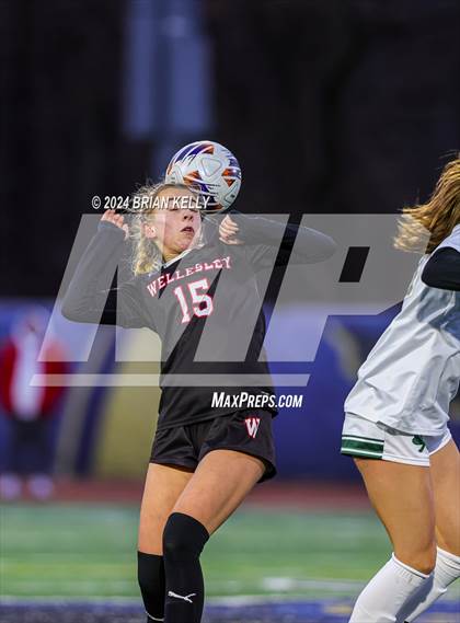 Thumbnail 2 in Wellesley vs Bishop Feehan (MIAA Division 1 Final) photogallery.