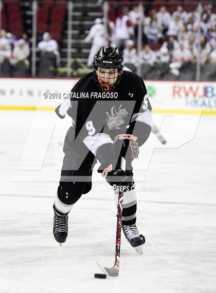Thumbnail 1 in Hunterdon Central vs Woodbridge (NJSIAA Public A Final) photogallery.
