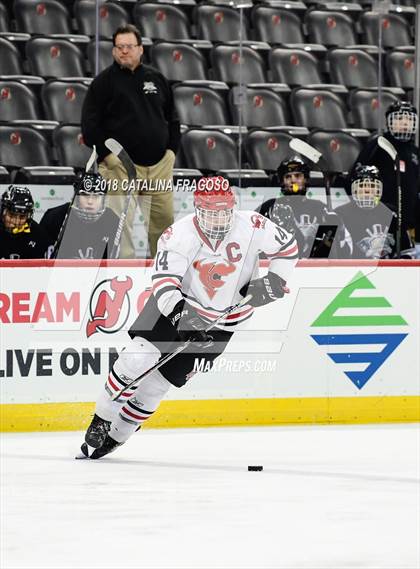 Thumbnail 1 in Hunterdon Central vs Woodbridge (NJSIAA Public A Final) photogallery.