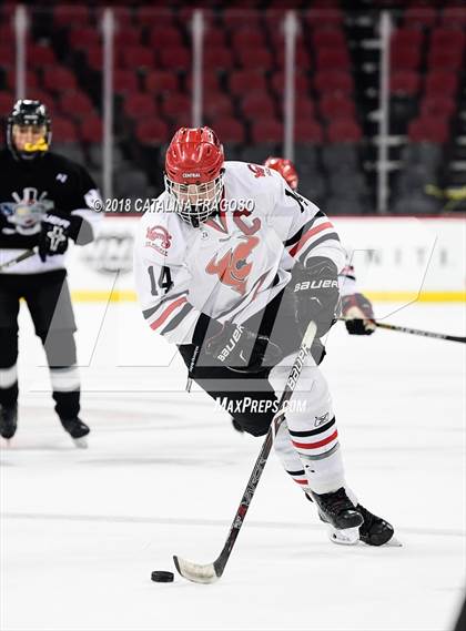 Thumbnail 3 in Hunterdon Central vs Woodbridge (NJSIAA Public A Final) photogallery.