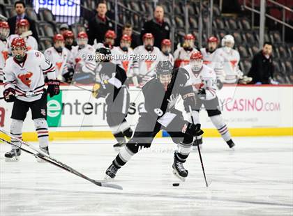 Thumbnail 1 in Hunterdon Central vs Woodbridge (NJSIAA Public A Final) photogallery.