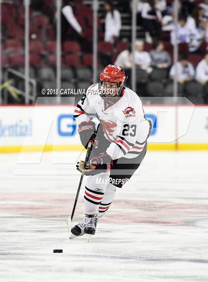 Thumbnail 2 in Hunterdon Central vs Woodbridge (NJSIAA Public A Final) photogallery.