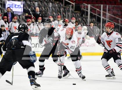 Thumbnail 3 in Hunterdon Central vs Woodbridge (NJSIAA Public A Final) photogallery.