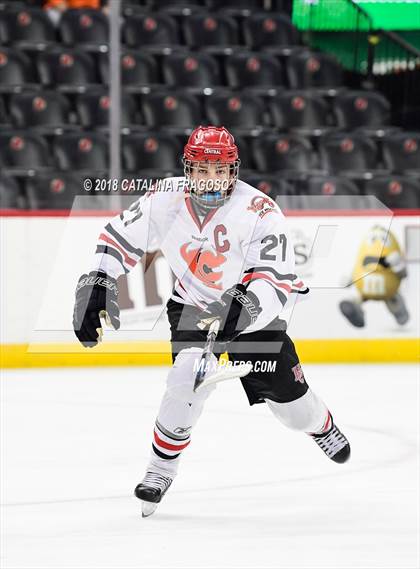 Thumbnail 3 in Hunterdon Central vs Woodbridge (NJSIAA Public A Final) photogallery.