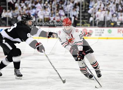 Thumbnail 1 in Hunterdon Central vs Woodbridge (NJSIAA Public A Final) photogallery.
