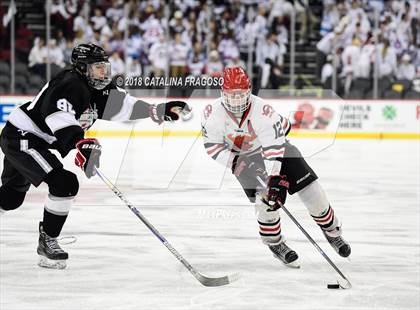 Thumbnail 3 in Hunterdon Central vs Woodbridge (NJSIAA Public A Final) photogallery.