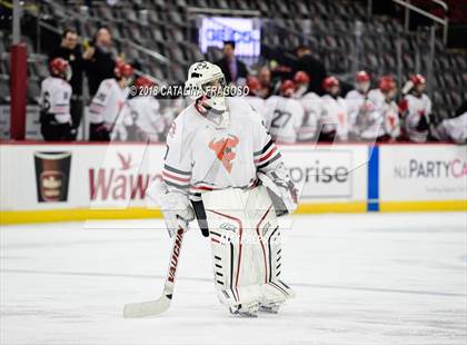 Thumbnail 2 in Hunterdon Central vs Woodbridge (NJSIAA Public A Final) photogallery.