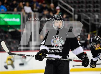 Thumbnail 3 in Hunterdon Central vs Woodbridge (NJSIAA Public A Final) photogallery.