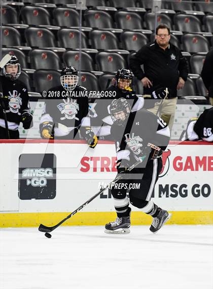 Thumbnail 1 in Hunterdon Central vs Woodbridge (NJSIAA Public A Final) photogallery.