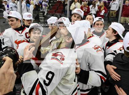 Thumbnail 3 in Hunterdon Central vs Woodbridge (NJSIAA Public A Final) photogallery.