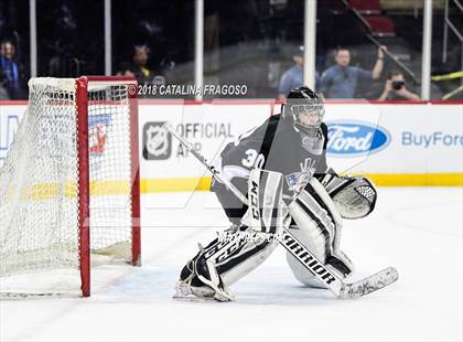 Thumbnail 3 in Hunterdon Central vs Woodbridge (NJSIAA Public A Final) photogallery.