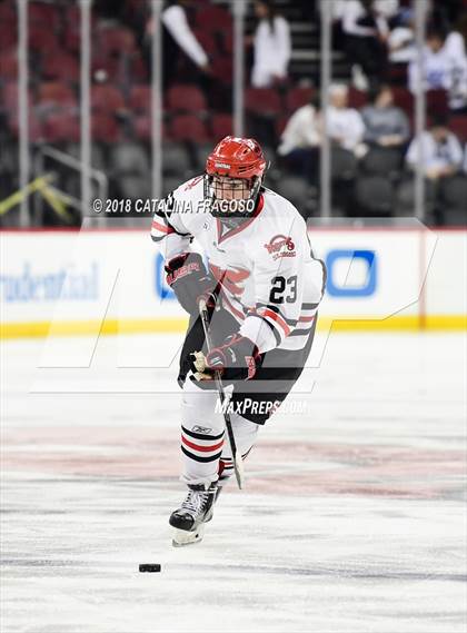 Thumbnail 3 in Hunterdon Central vs Woodbridge (NJSIAA Public A Final) photogallery.