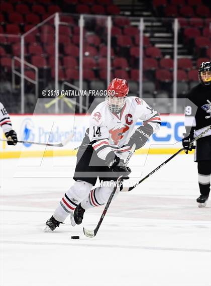 Thumbnail 2 in Hunterdon Central vs Woodbridge (NJSIAA Public A Final) photogallery.