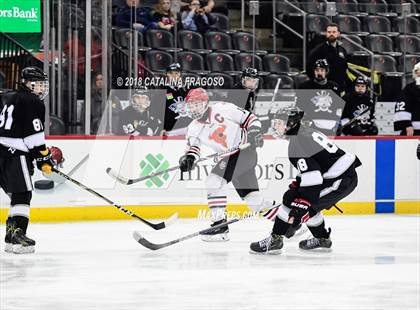 Thumbnail 1 in Hunterdon Central vs Woodbridge (NJSIAA Public A Final) photogallery.