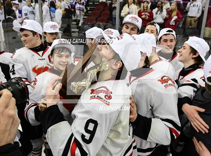 Thumbnail 2 in Hunterdon Central vs Woodbridge (NJSIAA Public A Final) photogallery.