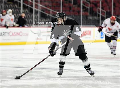 Thumbnail 2 in Hunterdon Central vs Woodbridge (NJSIAA Public A Final) photogallery.