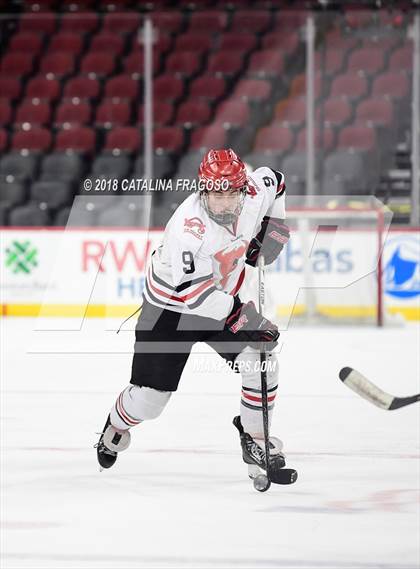 Thumbnail 2 in Hunterdon Central vs Woodbridge (NJSIAA Public A Final) photogallery.