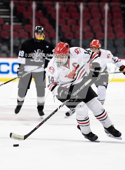 Thumbnail 2 in Hunterdon Central vs Woodbridge (NJSIAA Public A Final) photogallery.