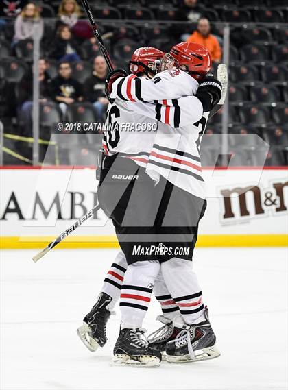 Thumbnail 2 in Hunterdon Central vs Woodbridge (NJSIAA Public A Final) photogallery.