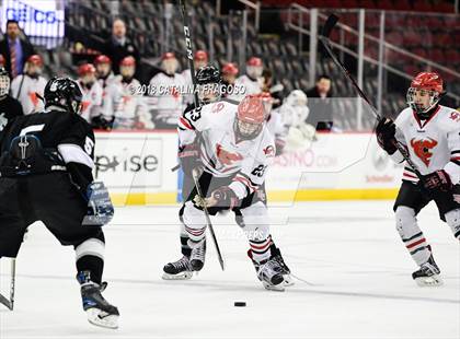 Thumbnail 2 in Hunterdon Central vs Woodbridge (NJSIAA Public A Final) photogallery.