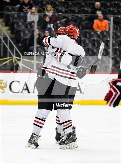 Thumbnail 1 in Hunterdon Central vs Woodbridge (NJSIAA Public A Final) photogallery.