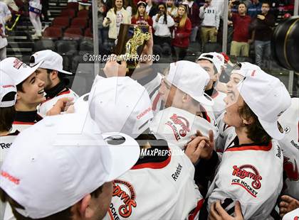 Thumbnail 1 in Hunterdon Central vs Woodbridge (NJSIAA Public A Final) photogallery.