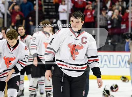 Thumbnail 1 in Hunterdon Central vs Woodbridge (NJSIAA Public A Final) photogallery.