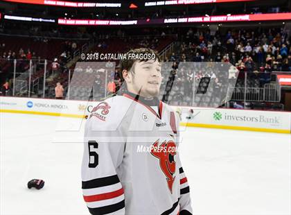 Thumbnail 1 in Hunterdon Central vs Woodbridge (NJSIAA Public A Final) photogallery.